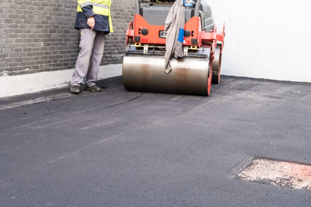 Best Driveway Snow Removal Preparation  in Apalachicola, FL